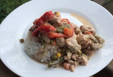 Turkey Recipe with Vegetables in a Creamy Sauce Photo 1