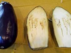 Vegetarian Eggplant Recipe Photo 2