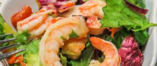 Shrimp Salad with Lime Dressing Photo