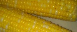 Delicious and Easy Corn on the Cob Photo