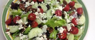 Blue Cheese and Dried Cranberry Tossed Salad Photo
