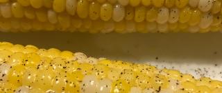 Microwave Corn on the Cob in the Husk Photo